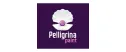 Pelligrina Paint