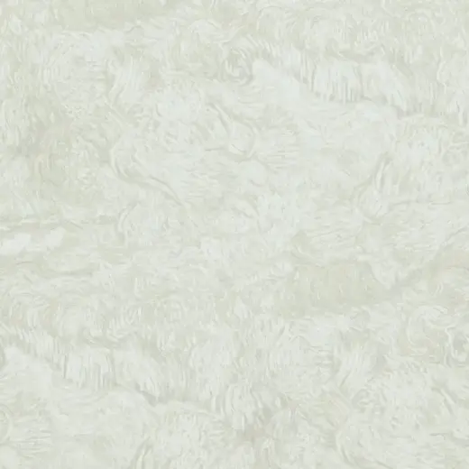 BN International Van Gogh 2 17172 обои виниловые на флизелиновой основе