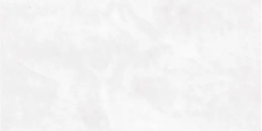 Axima Арагон коллекция Арагон Верх плитка настенная (250*500 мм/8 мм) белая