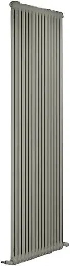 Irsap Tesi 2 радиатор стальной трубчатый 400 46 секций (2070*402 мм) серый Манхэттен 03 нижнее центральное 1/2