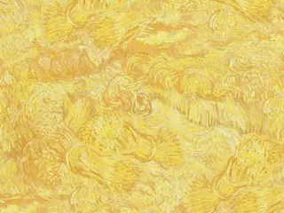 BN International Van Gogh 2 17170 обои виниловые на флизелиновой основе
