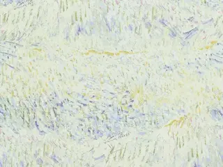 BN International Van Gogh 2 17181 обои виниловые на флизелиновой основе